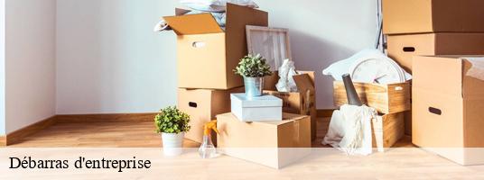 Débarras d'entreprise sablons-38550 GT Location de benne