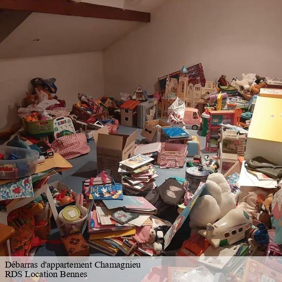 Débarras d'appartement chamagnieu-38460 RDS Location Bennes