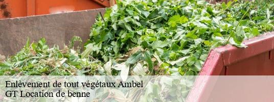 Enlèvement de tout végétaux  ambel-38970 GT Location de benne