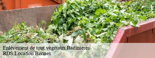 Enlèvement de tout végétaux  badinieres- RDS Location Bennes 