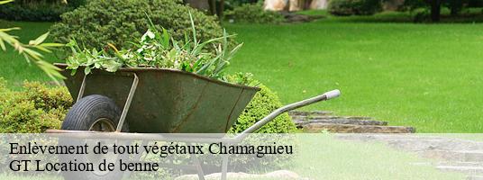 Enlèvement de tout végétaux chamagnieu-38460 GT Location de benne