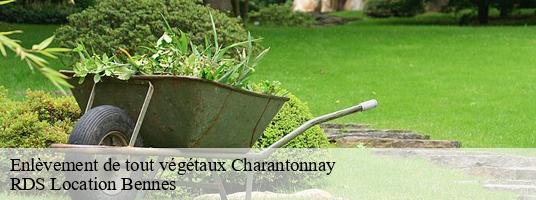 Enlèvement de tout végétaux charantonnay-38790 RDS Location Bennes