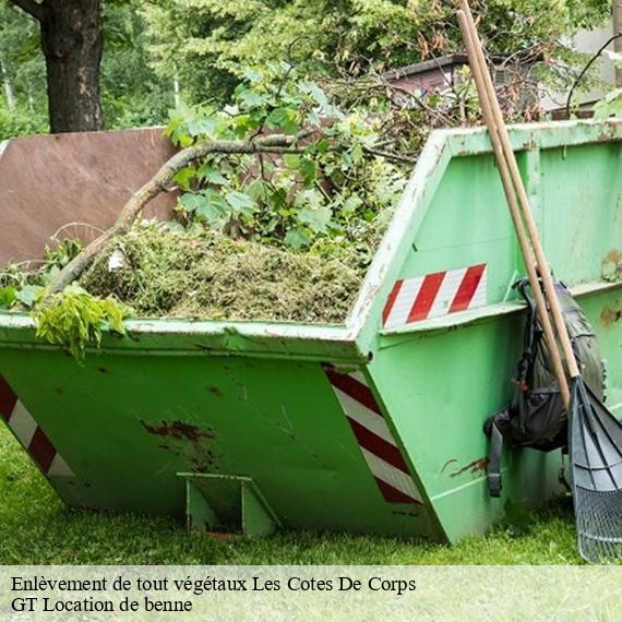 Enlèvement de tout végétaux les-cotes-de-corps-38970 GT Location de benne