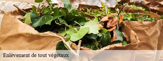 Enlèvement de tout végétaux les-cotes-de-corps-38970 GT Location de benne