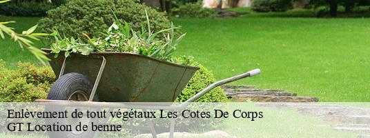 Enlèvement de tout végétaux les-cotes-de-corps-38970 GT Location de benne