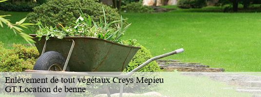 Enlèvement de tout végétaux creys-mepieu-38510 GT Location de benne