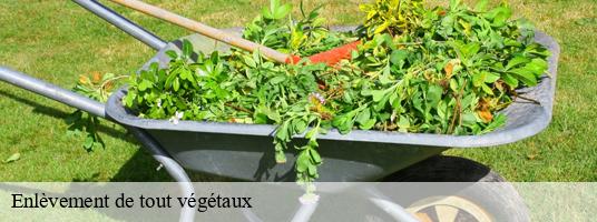 Enlèvement de tout végétaux gresse-38650 RDS Location Bennes