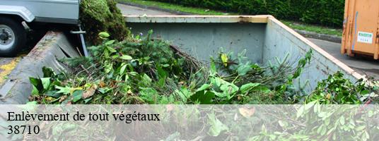 Enlèvement de tout végétaux  lavars-38710 RDS Location Bennes 