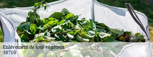 Enlèvement de tout végétaux  lavars-38710 RDS Location Bennes 