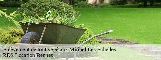 Enlèvement de tout végétaux miribel-les-echelles-38380 RDS Location Bennes