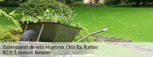 Enlèvement de tout végétaux  oris-en-rattier-38350 RDS Location Bennes 
