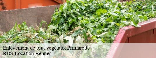 Enlèvement de tout végétaux  primarette- RDS Location Bennes 