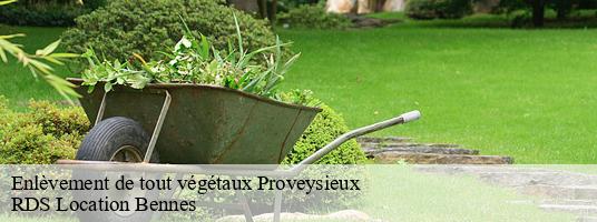 Enlèvement de tout végétaux  proveysieux-38120 RDS Location Bennes 
