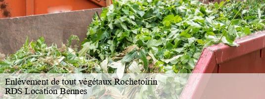 Enlèvement de tout végétaux rochetoirin- RDS Location Bennes