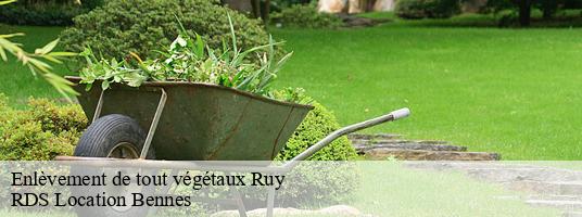 Enlèvement de tout végétaux  ruy-38300 RDS Location Bennes 
