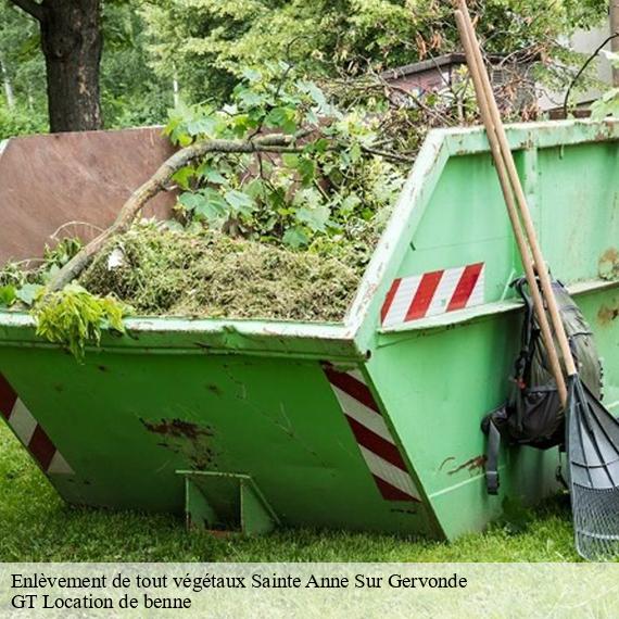 Enlèvement de tout végétaux sainte-anne-sur-gervonde-38440 GT Location de benne