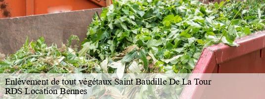 Enlèvement de tout végétaux saint-baudille-de-la-tour- RDS Location Bennes