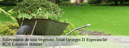Enlèvement de tout végétaux  saint-georges-d-esperanche-38790 RDS Location Bennes 