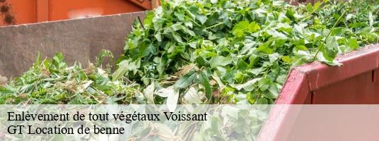 Enlèvement de tout végétaux  voissant-38620 GT Location de benne