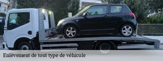 Enlèvement de tout type de véhicule mizoen-38142 GT Location de benne