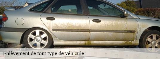 Enlèvement de tout type de véhicule vignieu-38890 RDS Location Bennes